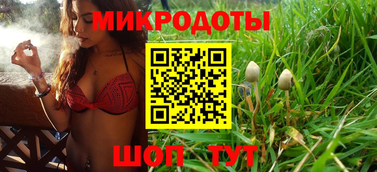 Псилоцибиновые грибы мицелий Донской